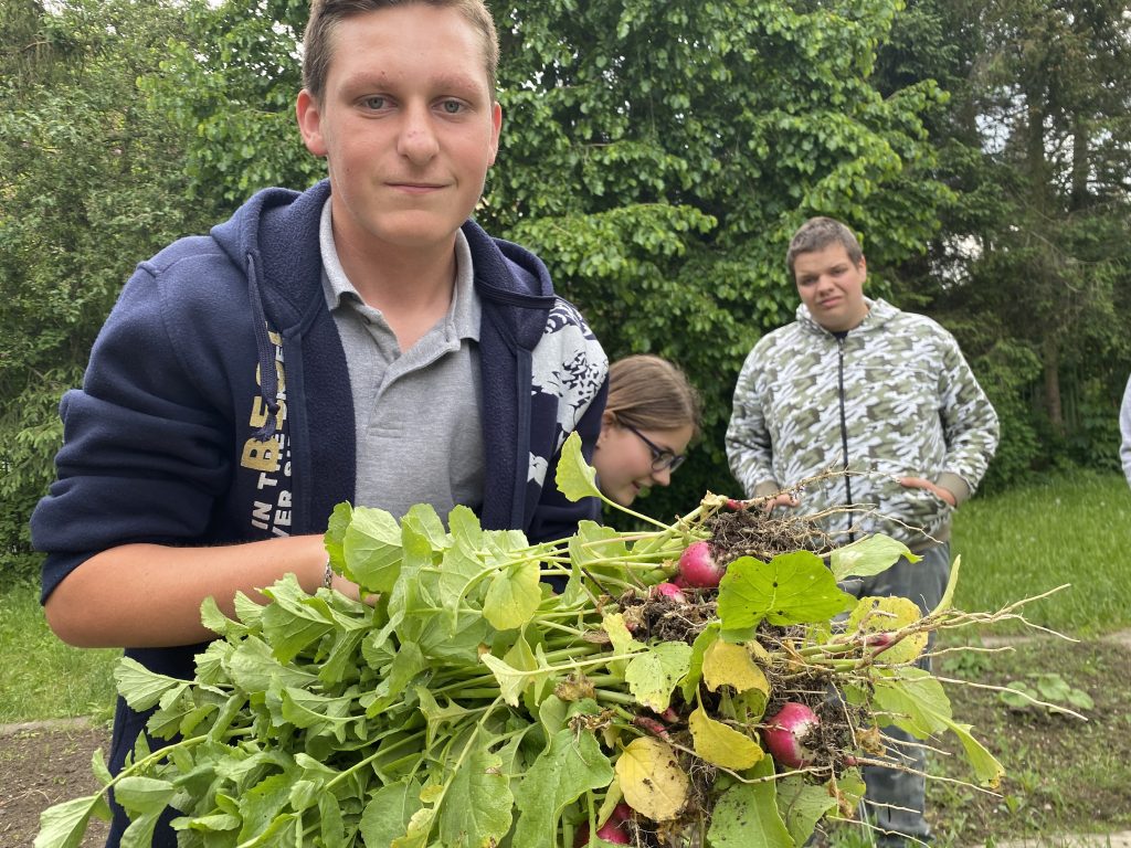Další sklizeň ze školní zahrádky
