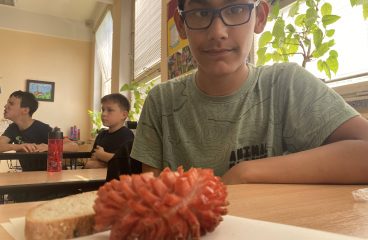 Mezinárodní den dětí
