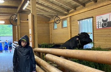 ZOO - třída SC