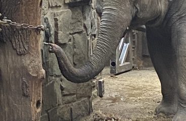 ZOO - třída SC