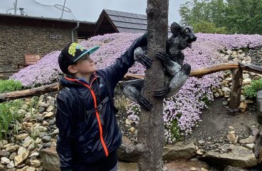 ZOO - třída SC