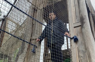 ZOO - třída SC