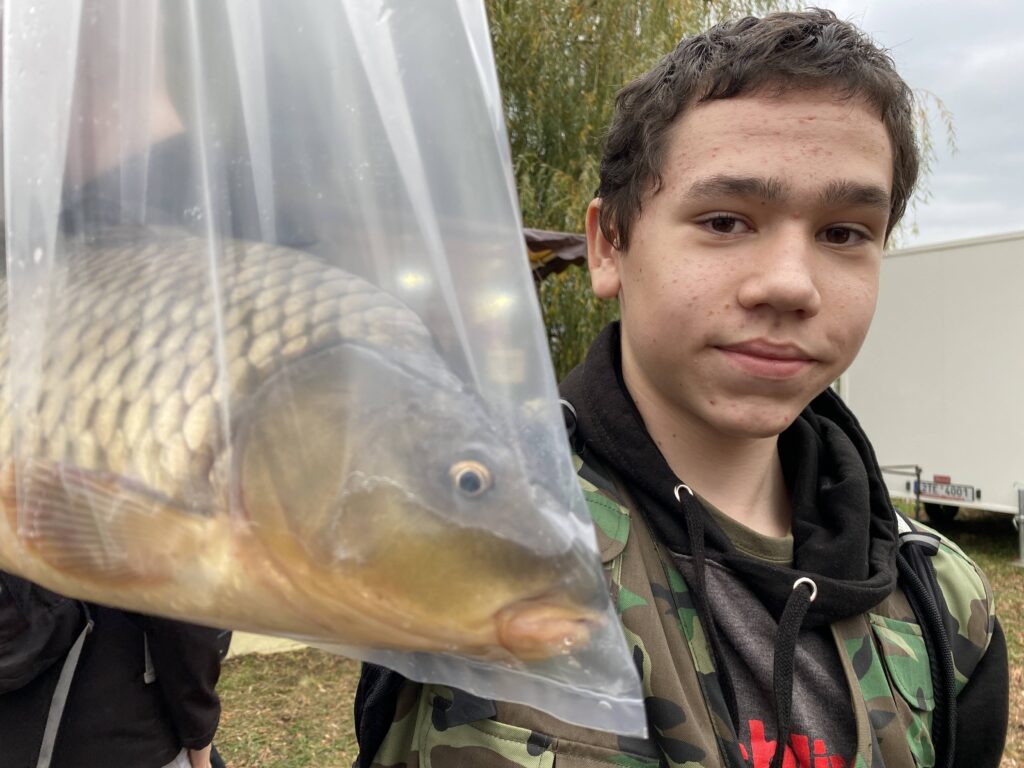 Výlov rybníka Bezruč