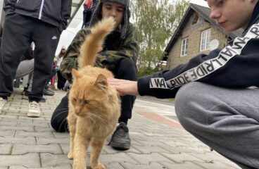 Výlov rybníka Bezruč