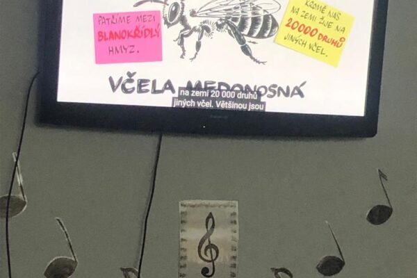 Projekt včela
