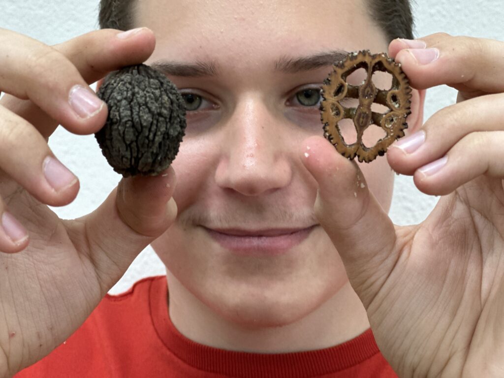 Pracovní výchova v 9.A