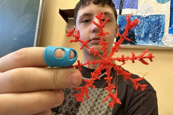 3D pero ve výuce