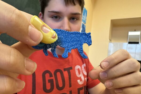 3D pero ve výuce