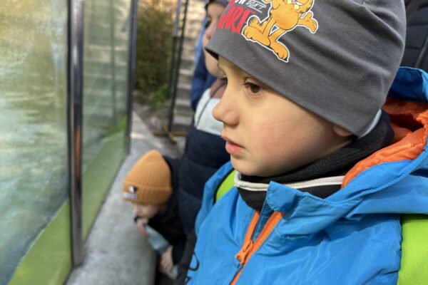 ZOO Lešná