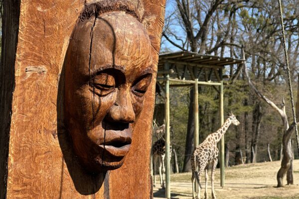 ZOO Lešná