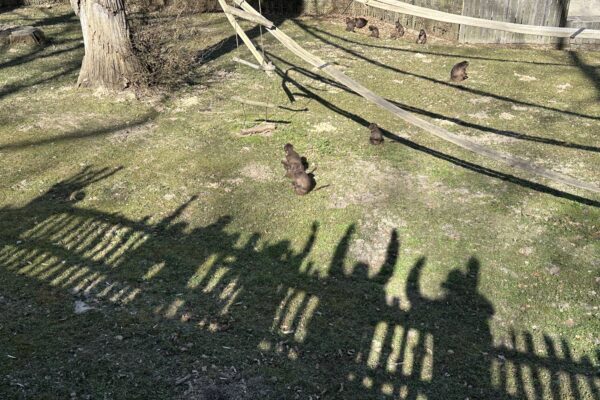 ZOO Lešná