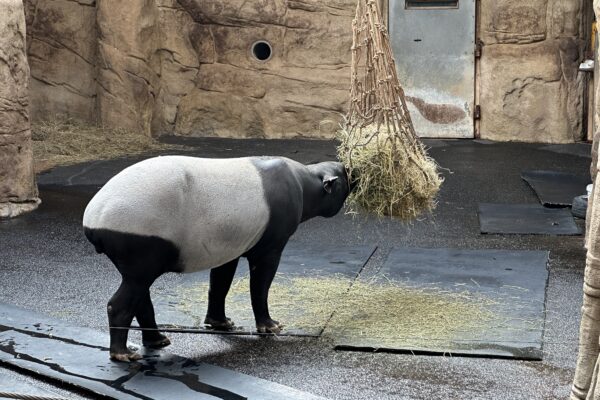 ZOO Lešná