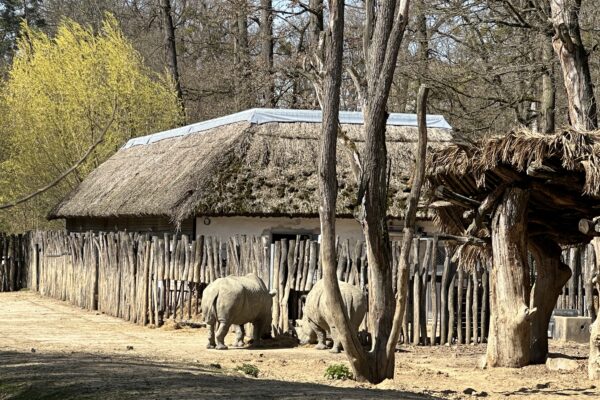 ZOO Lešná