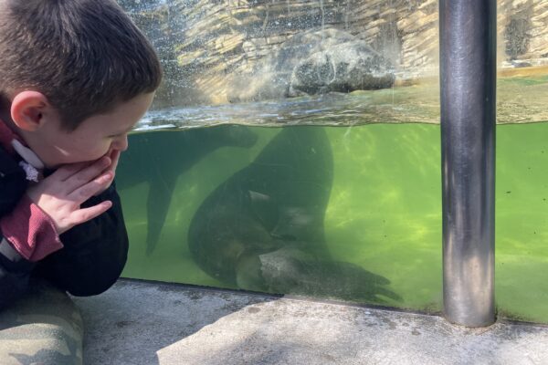 Třída SC v ZOO