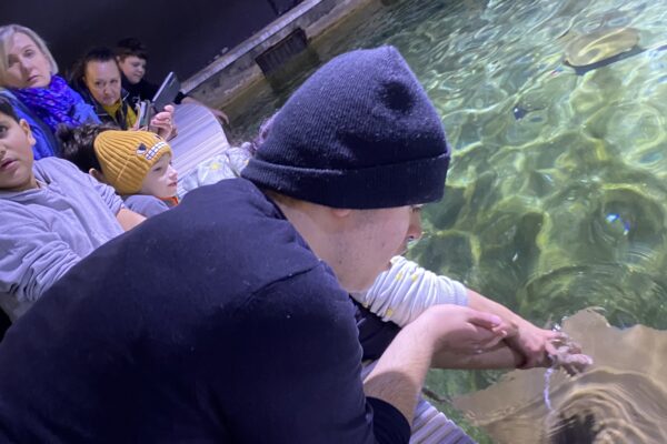 Třída SC v ZOO