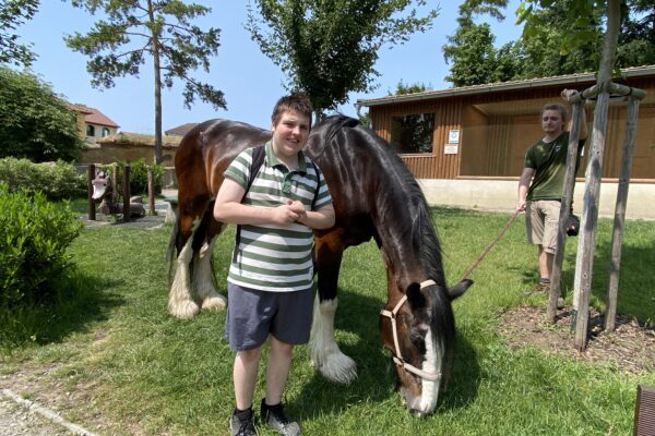 Vyškov Zoo Dino (SC)