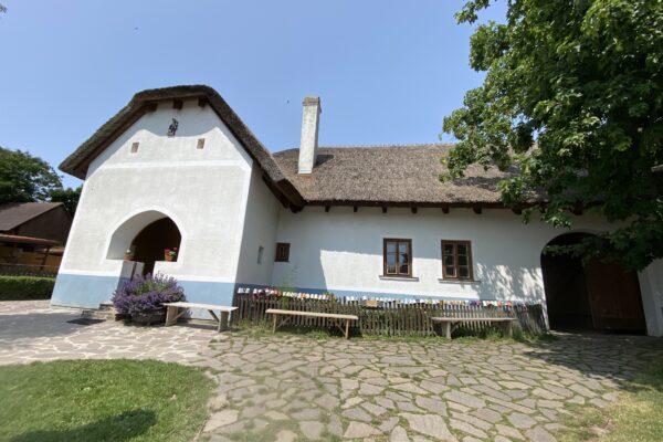 Vyškov Zoo Dino (SC)