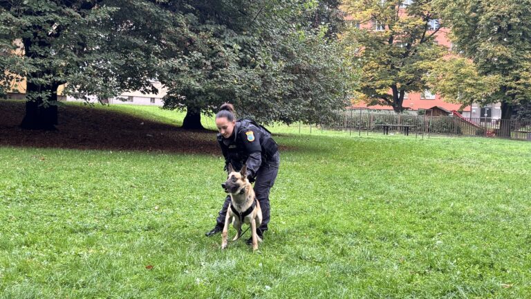 Návštěva střediska přírodovědců