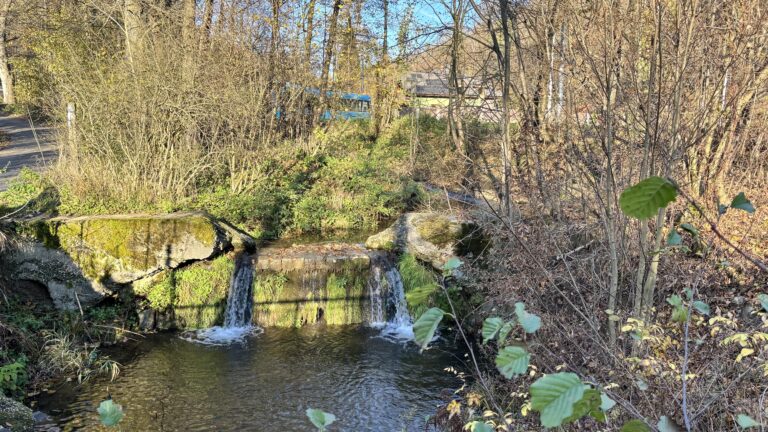 Procházka - Zátiší