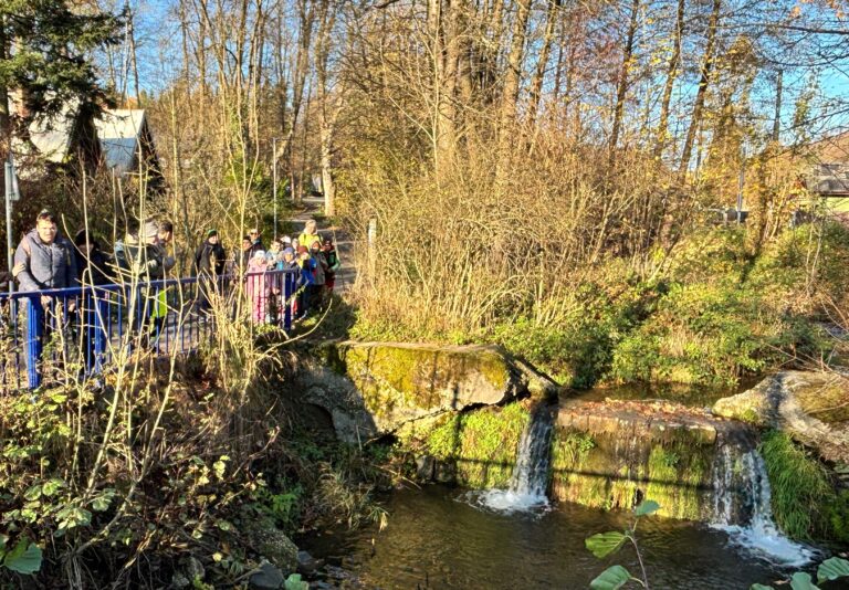 Procházka - Zátiší