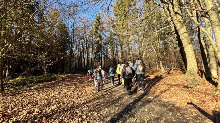 Procházka - Zátiší