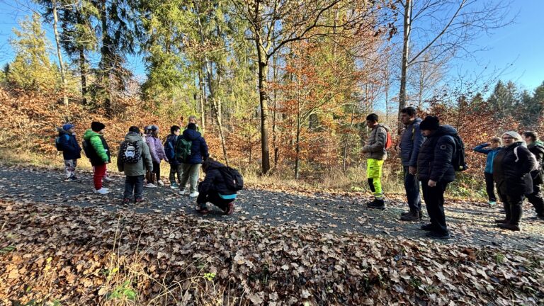 Procházka - Zátiší