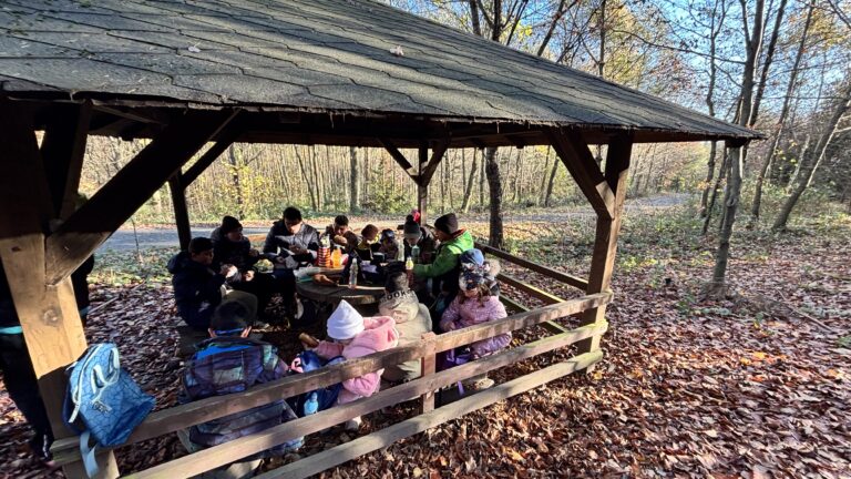 Procházka - Zátiší