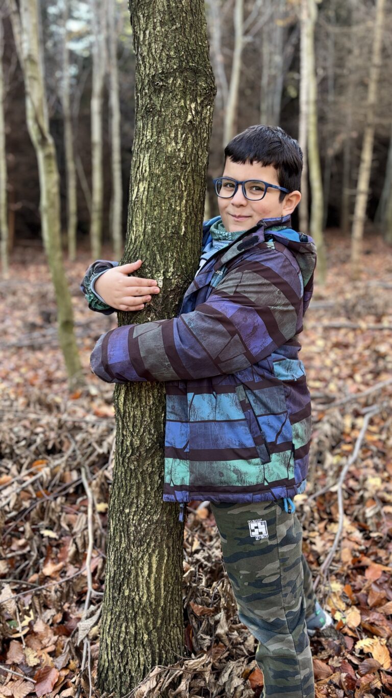 Procházka - Zátiší