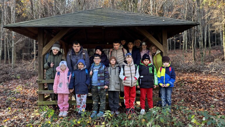 Procházka - Zátiší