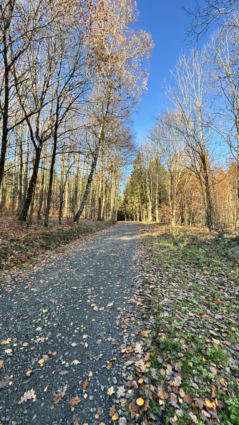 Procházka - Zátiší