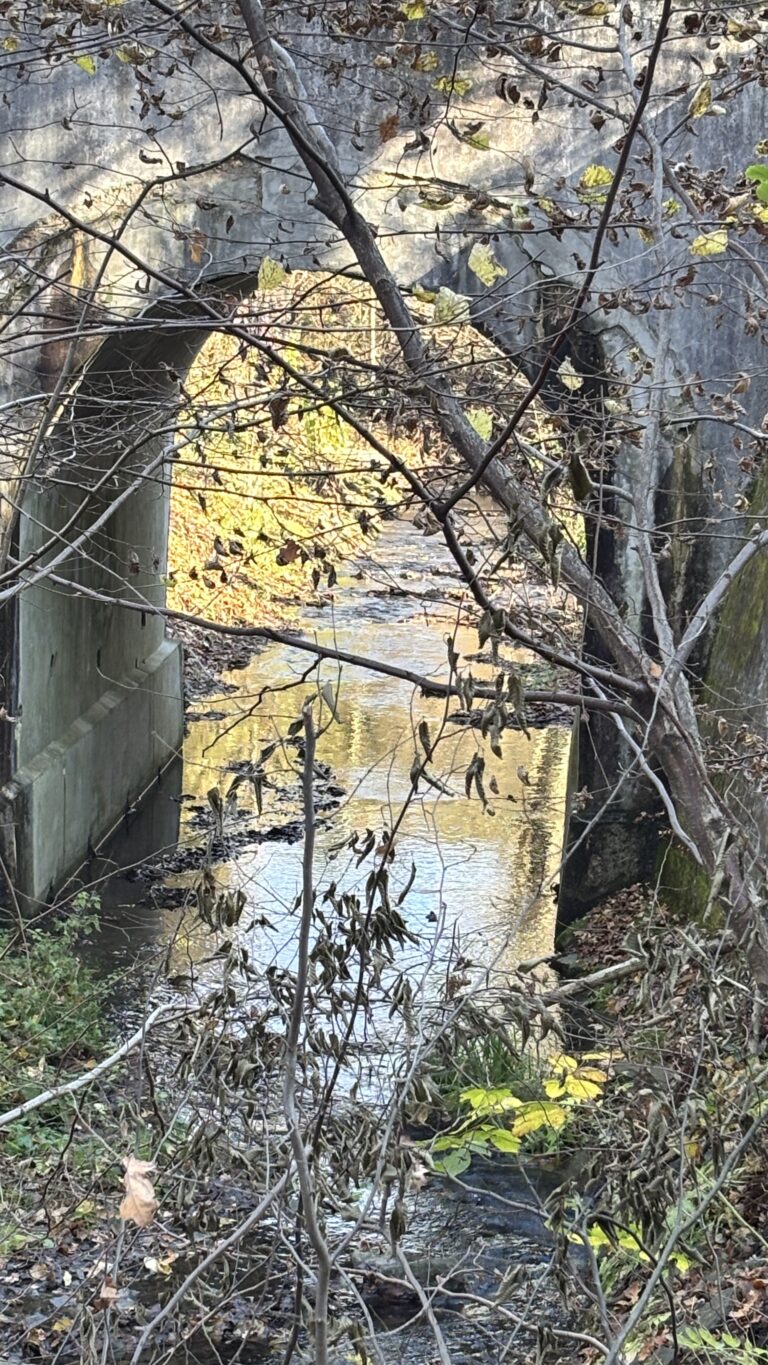 Procházka - Zátiší