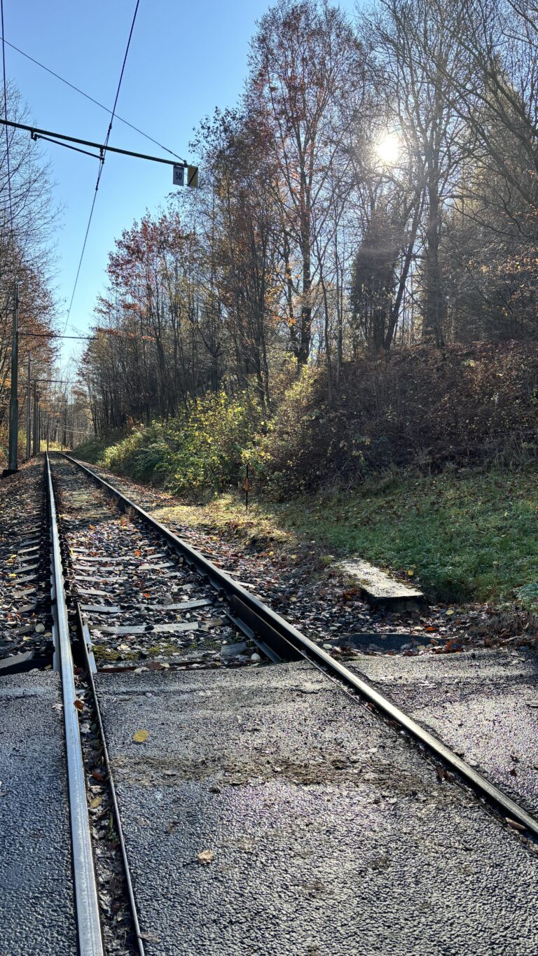 Procházka - Zátiší