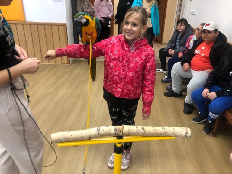 4.B - Klub Přírodovědců