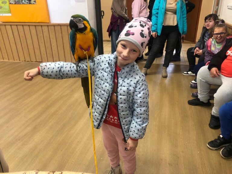 4.B - Klub Přírodovědců