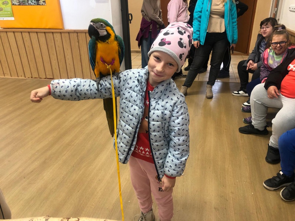 4.B - Klub Přírodovědců