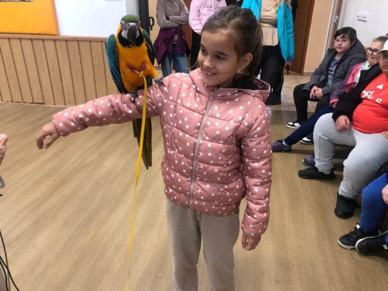 4.B - Klub Přírodovědců