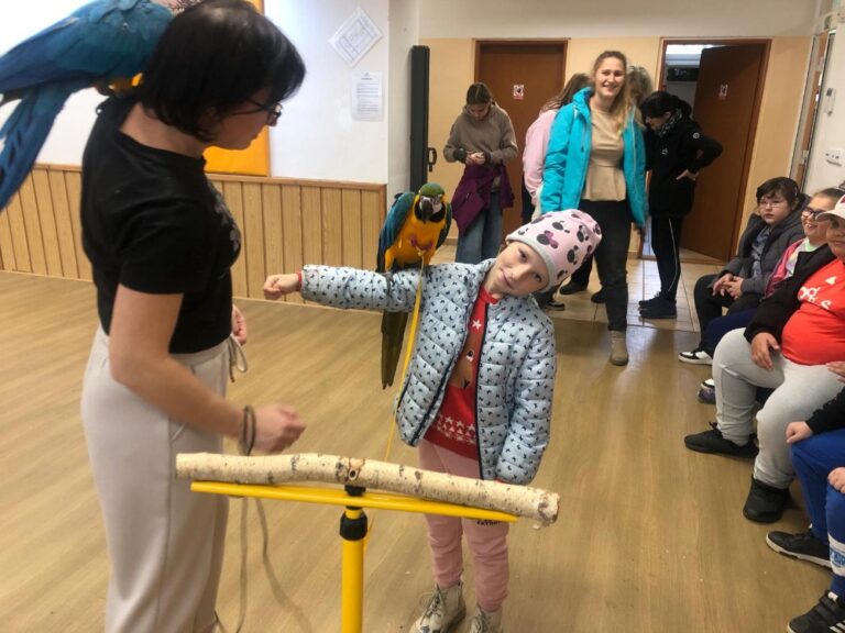 4.B - Klub Přírodovědců