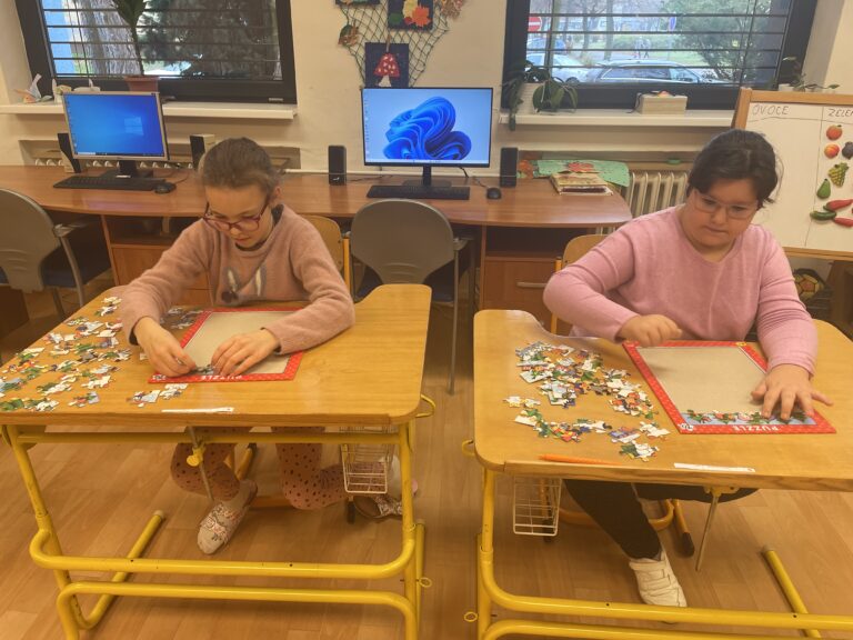 Puzzliáda - Školní kolo