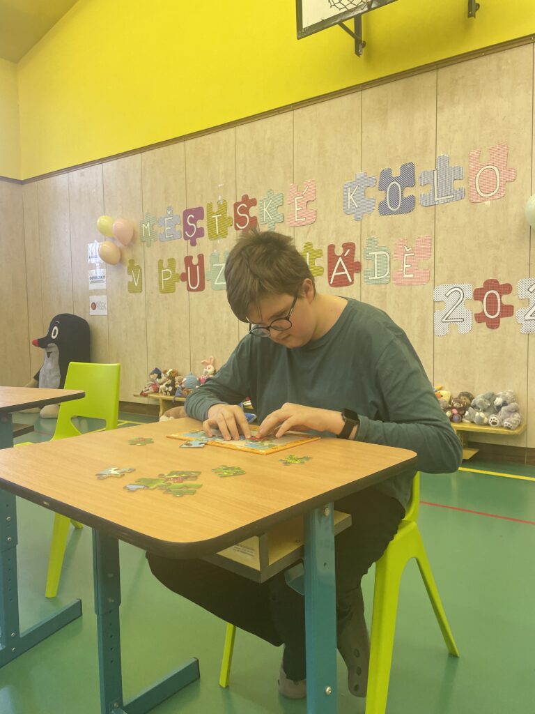 Puzzliáda - Městské kolo