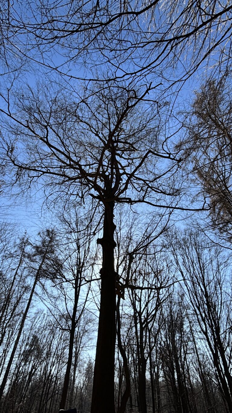 Procházka - Klimkovice