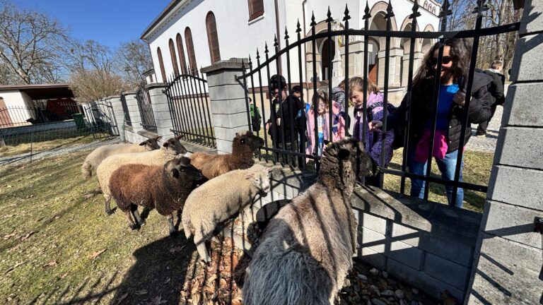 Procházka - Klimkovice