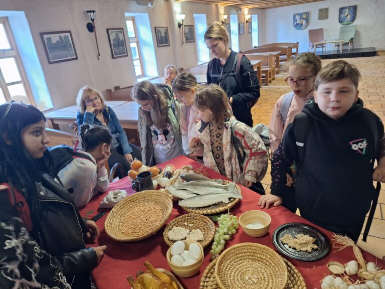 Slezskoostravský hrad a katedrála